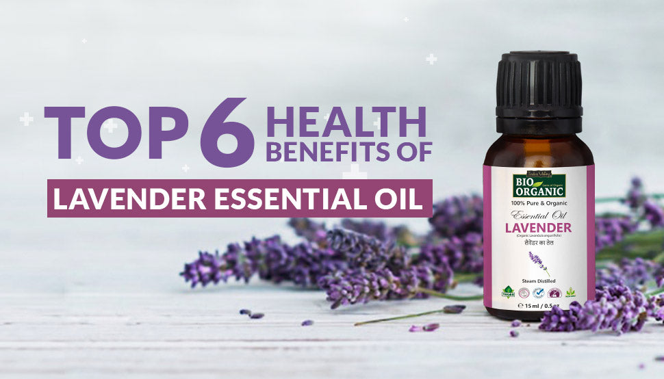 Top 6 Health Benefits of Lavender Essential Oil Indus Valley