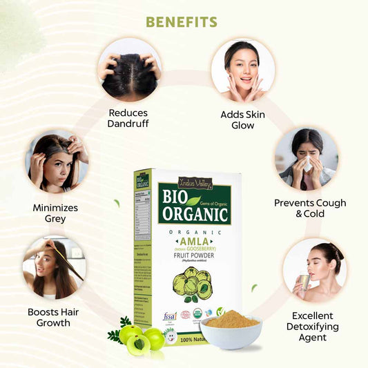 Bio Organic Amla Fruit Powder - Pack of 4