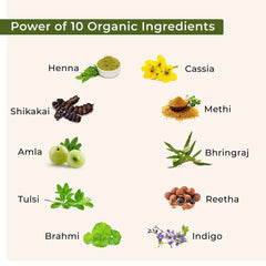 henna and indigo ingredients