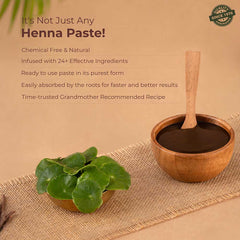 Ready-to-Apply Herbal Henna+ Paste With Shikakai & Bhringraj - 150gm