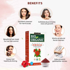 Bio Organic Hibiscus Powder - Pack of 4