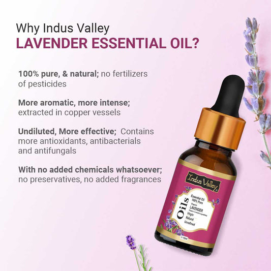 Pure & Organic Lavender Essential Oil - 15ml